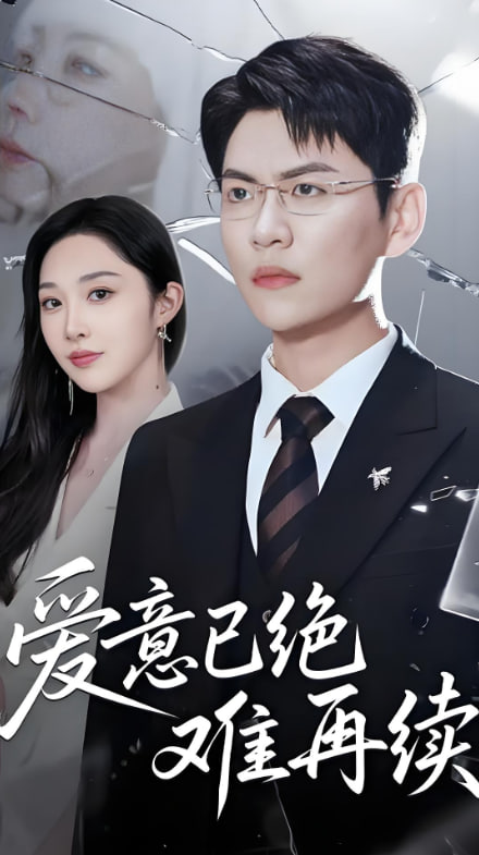 爱意已绝难再续封面