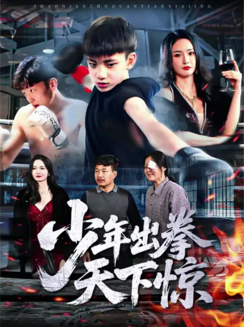 少年出拳天下惊封面