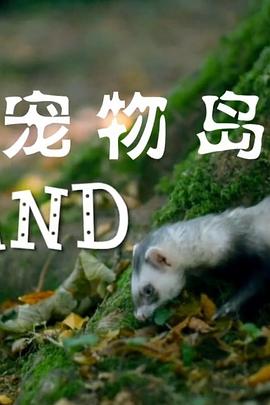 宠物岛封面