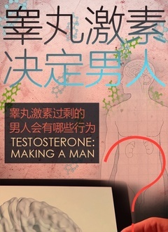 睾丸激素决定男人封面