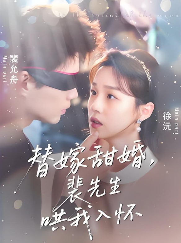 替嫁甜婚裴先生哄我入怀封面