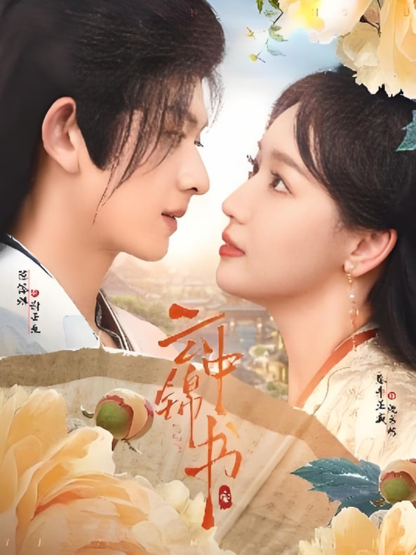 云中锦书封面