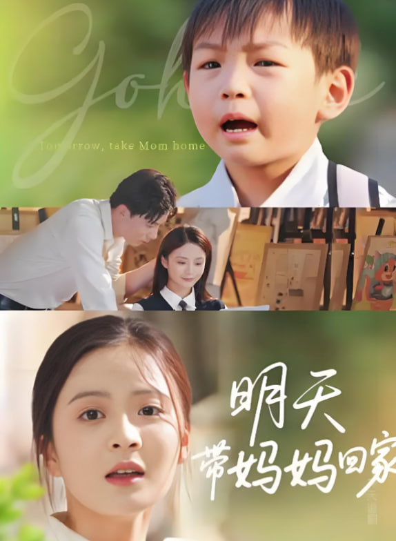 明天带妈妈回家封面