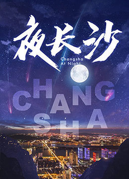 夜长沙封面