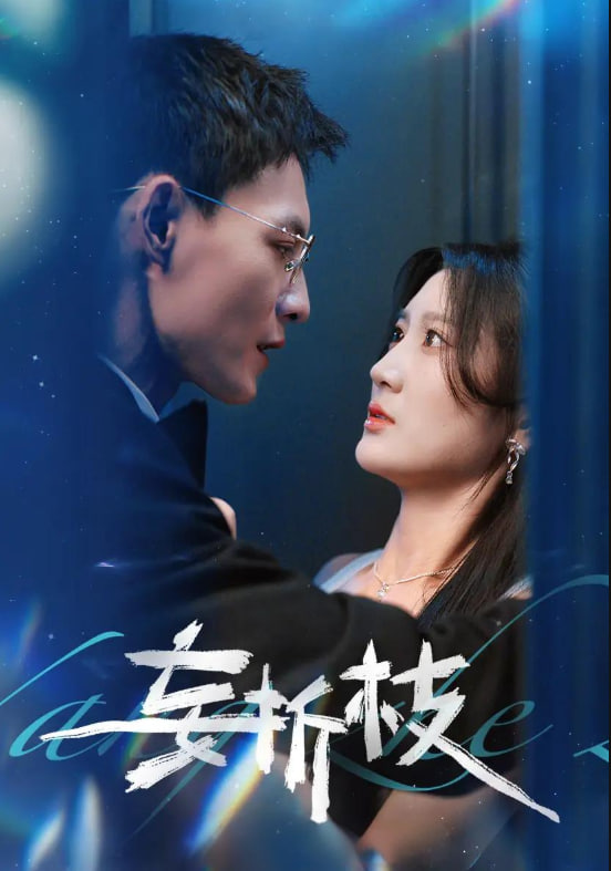 妄折枝封面