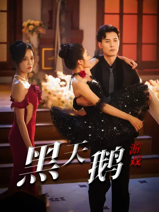 黑天鹅游戏封面