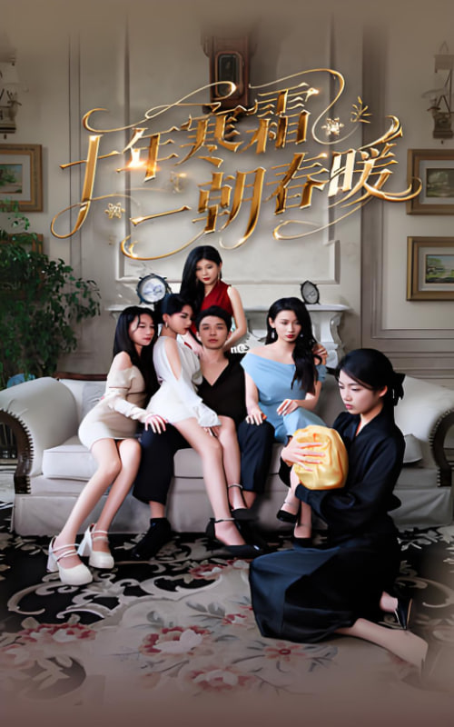 十年寒霜一朝春暖封面