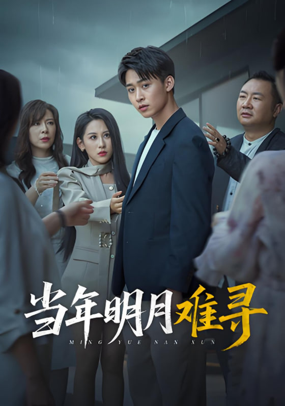 当年明月难寻封面