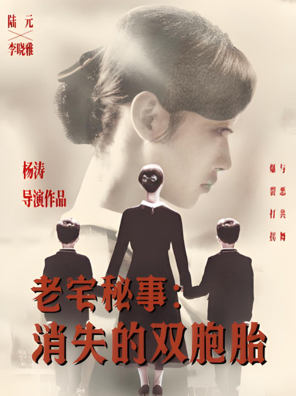老宅秘事消失的双胞胎（消失的孩子）封面