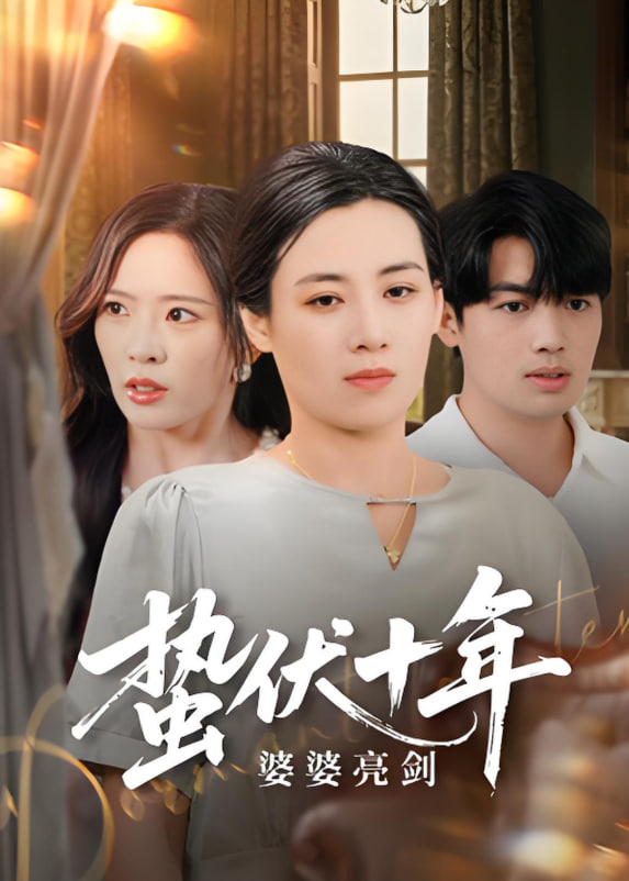 蛰伏十年婆婆亮剑封面