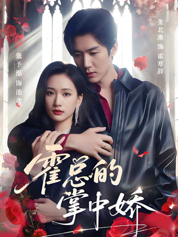 霍总的掌中娇封面