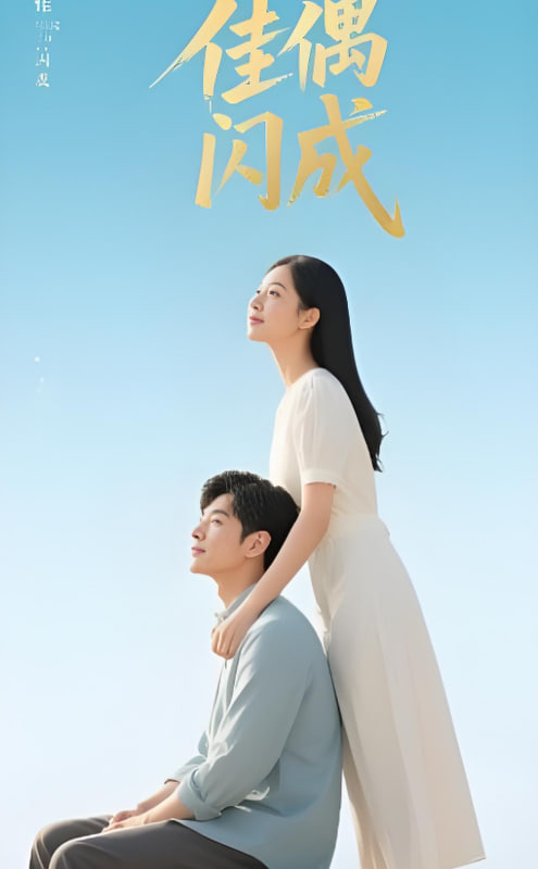佳偶闪成（假婚真爱）封面