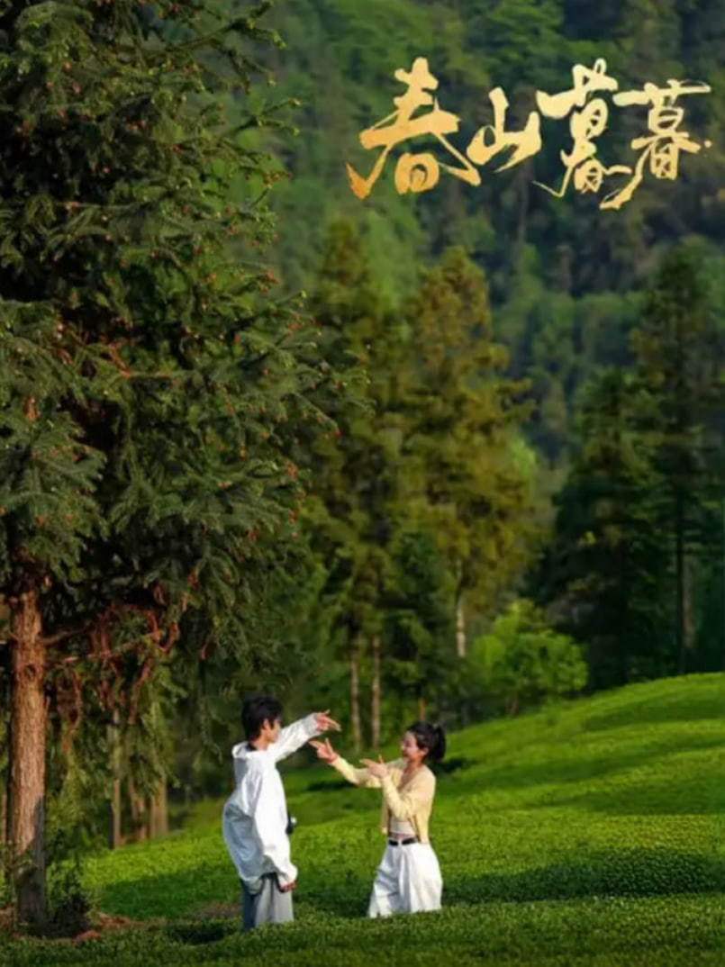 春山暮暮封面