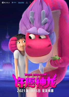 许愿神龙封面