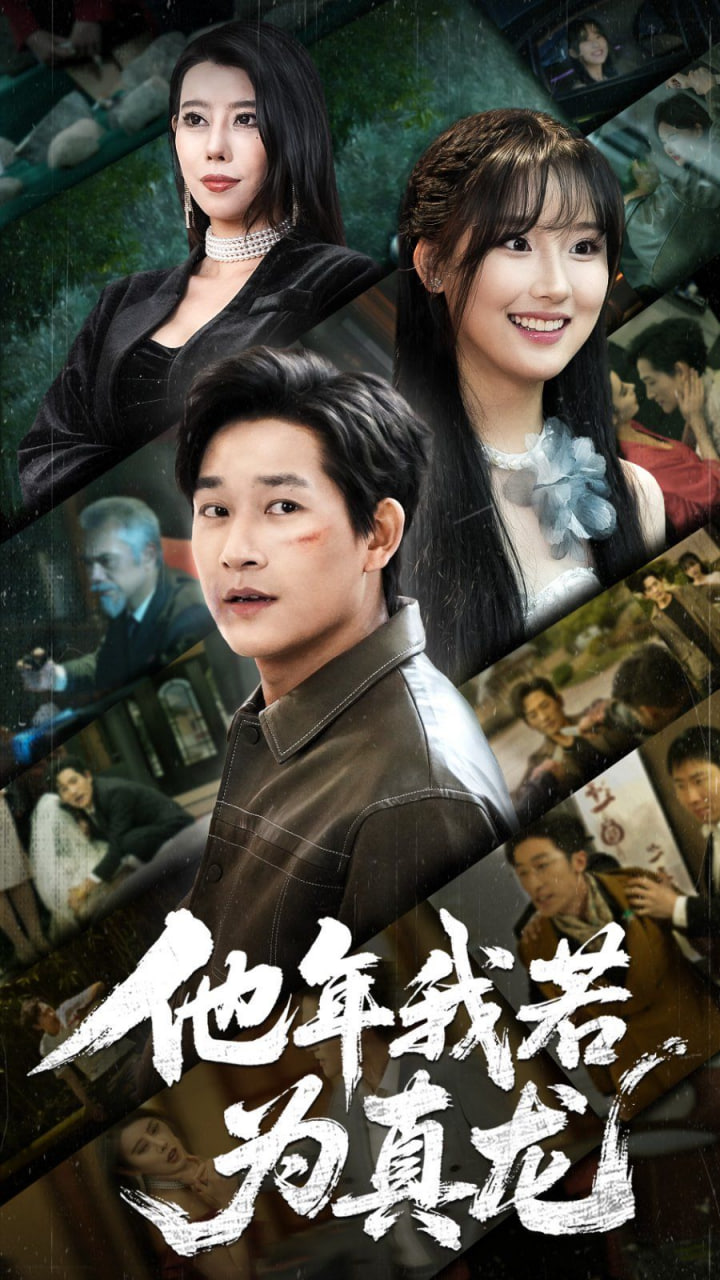 他年我若为真龙封面