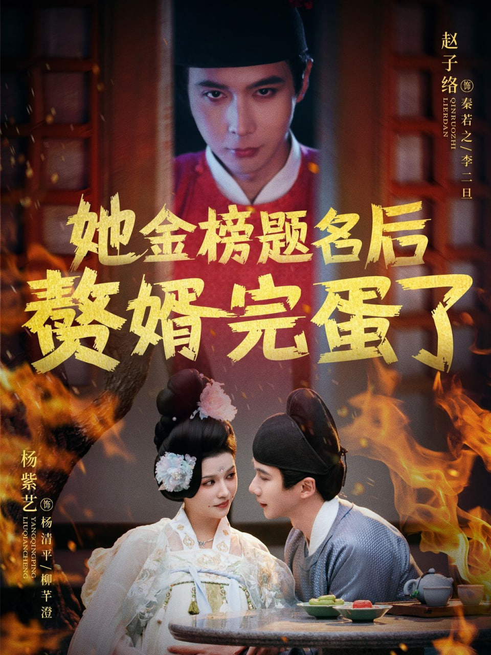 她金榜题名后赘婿完蛋了封面