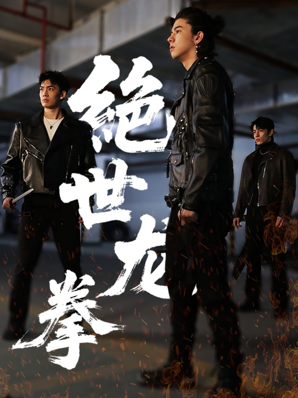 绝世龙拳封面