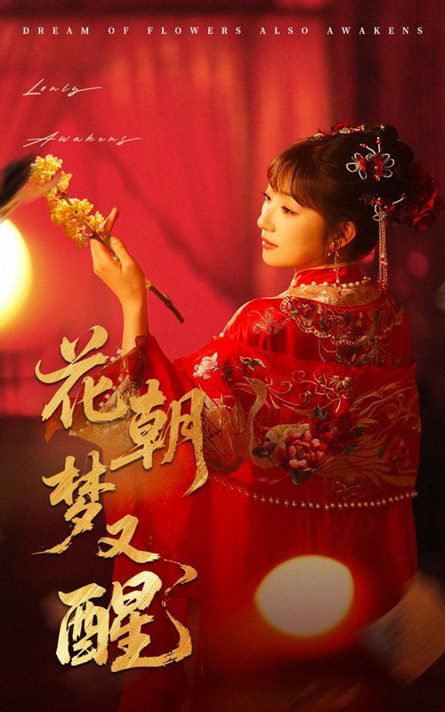 花朝梦又醒封面