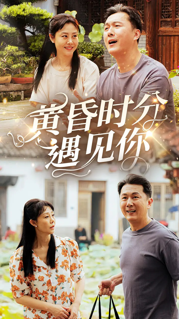 黄昏时分遇见你封面