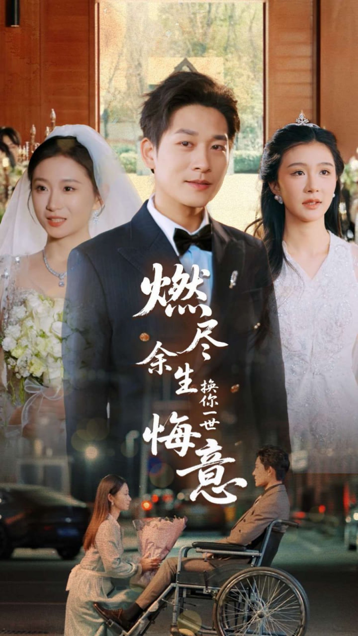 燃尽余生换你一世悔意封面