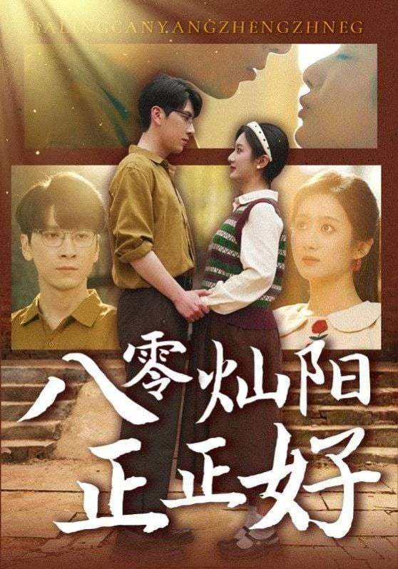 八零灿阳正正好封面