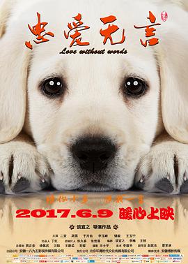 忠爱无言封面