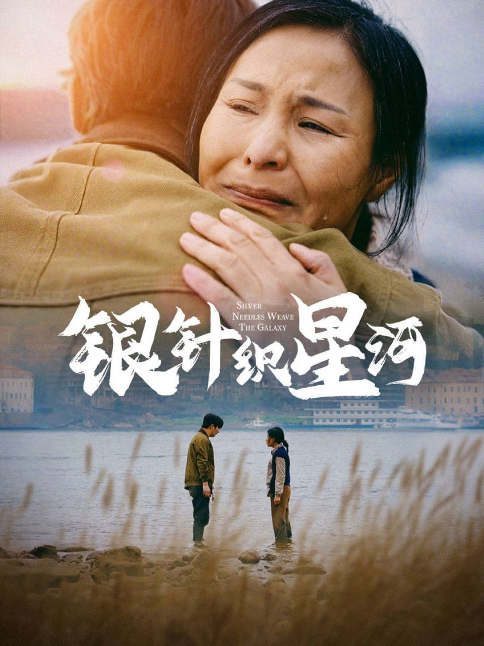 银针织星河封面