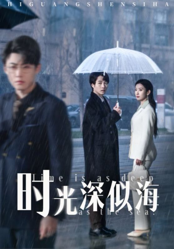 时光深似海封面