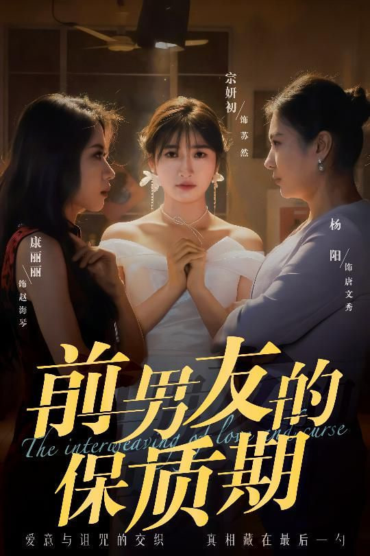 前男友的保质期封面