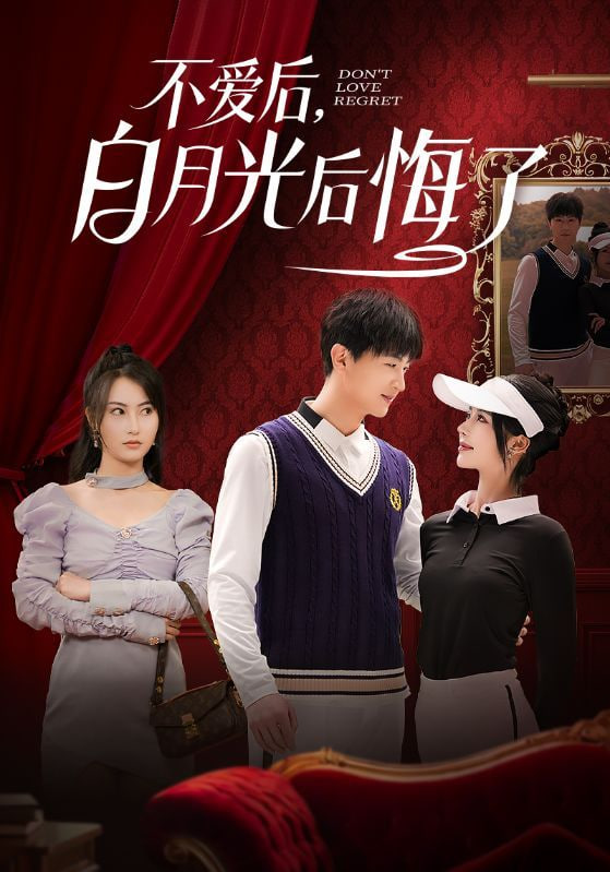 不爱后，白月光后悔了封面