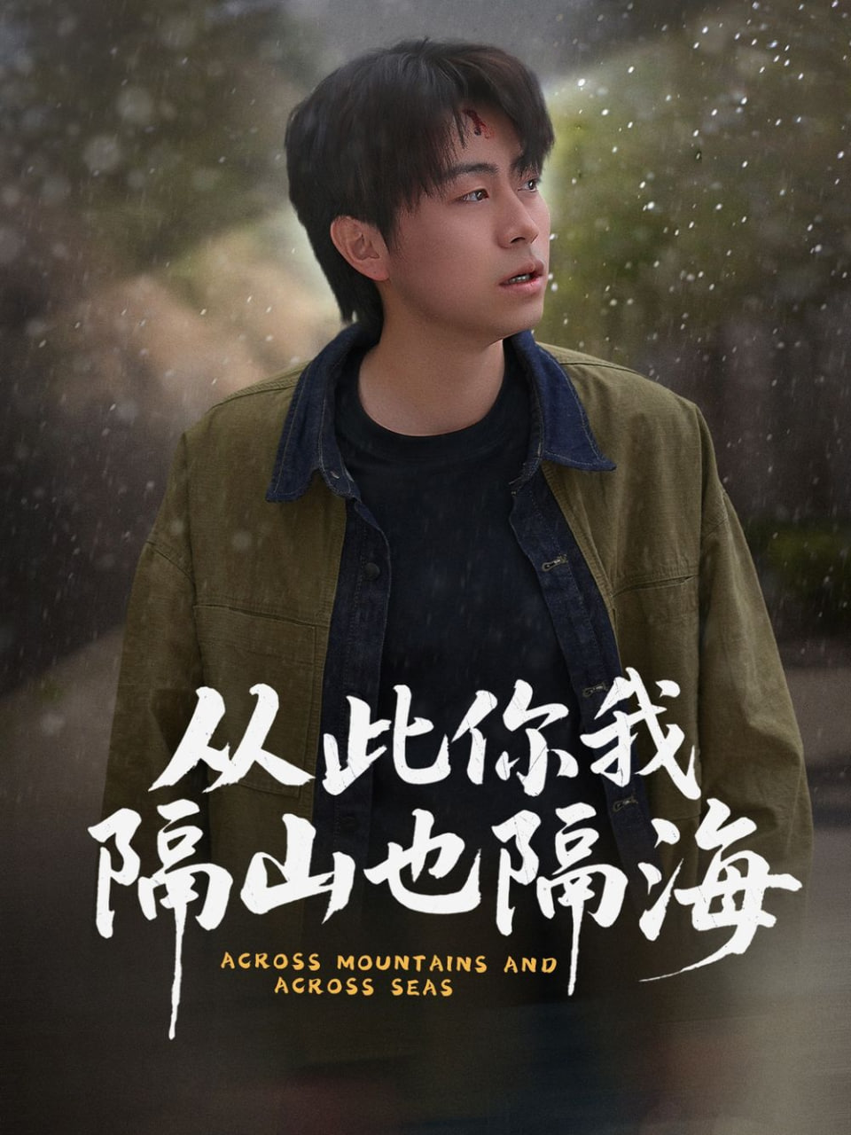 从此你我隔山也隔海封面