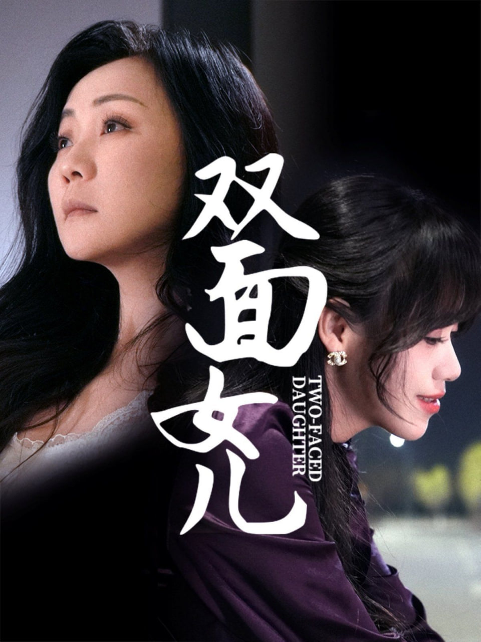 双面女儿封面
