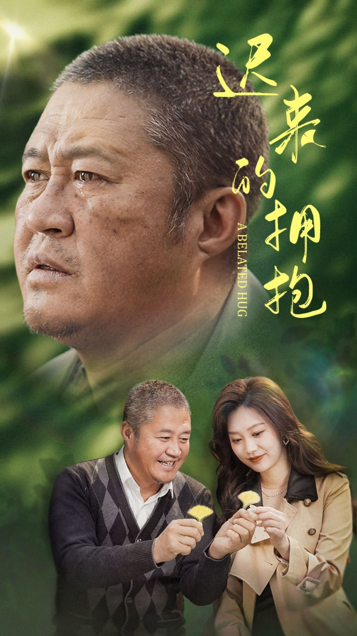 迟来的拥抱封面