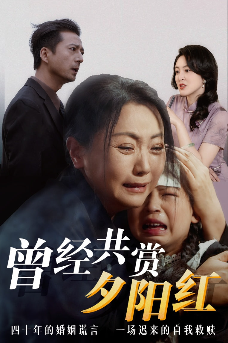 曾经共赏夕阳红封面