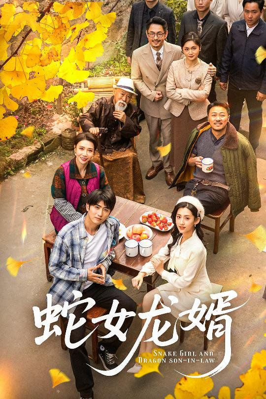 蛇女龙婿（不负韶华不负卿）封面