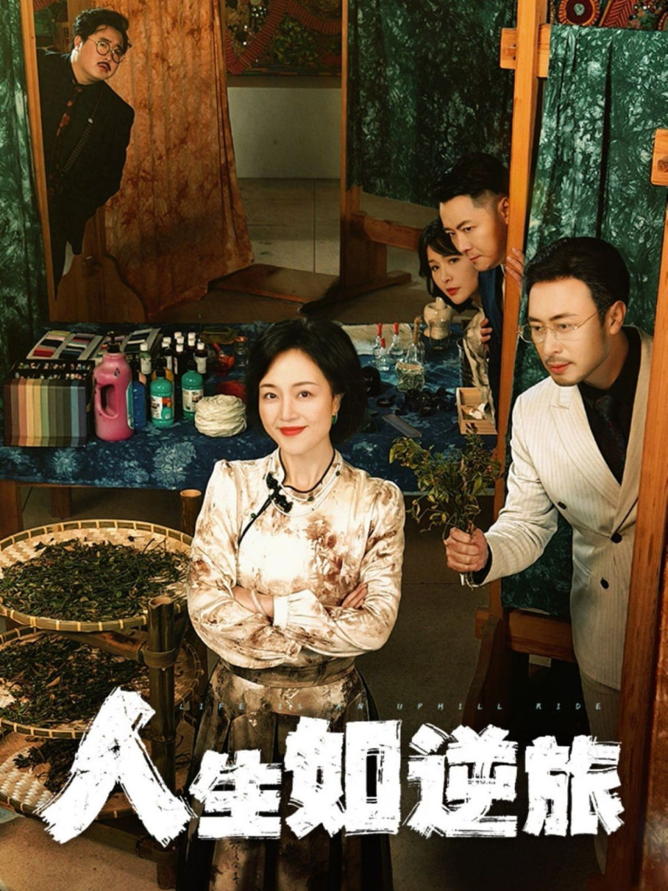 人生如逆旅封面