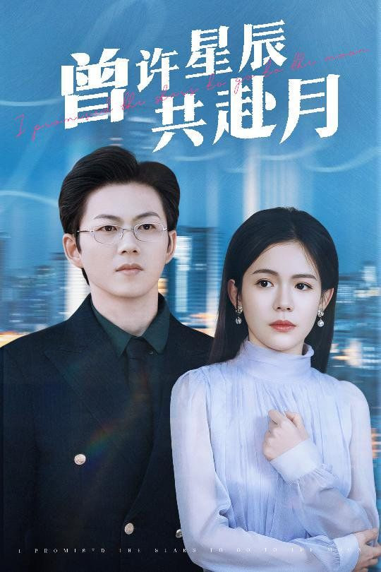曾许星辰共赴月封面