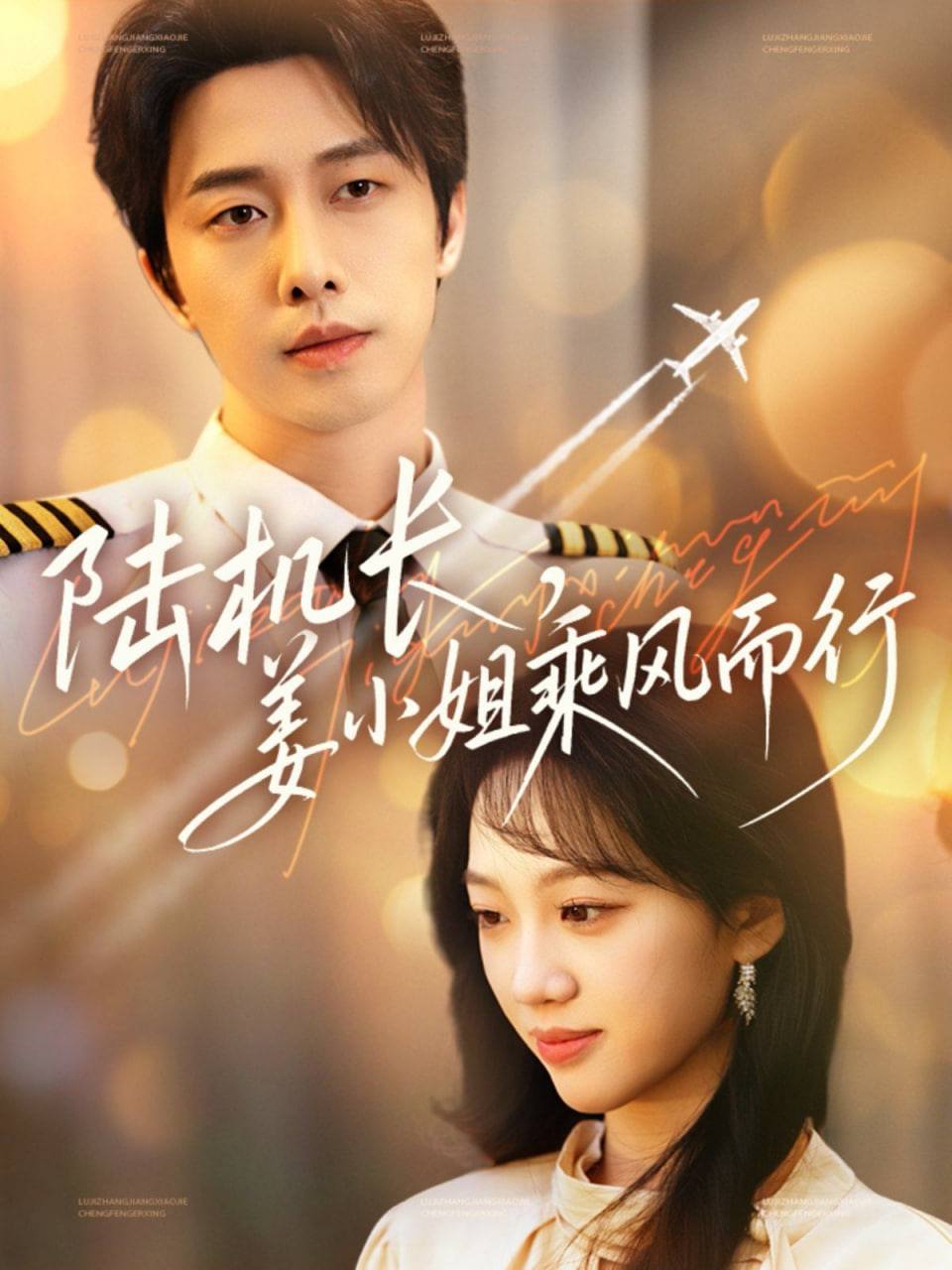 陆机长，姜小姐乘风而行封面