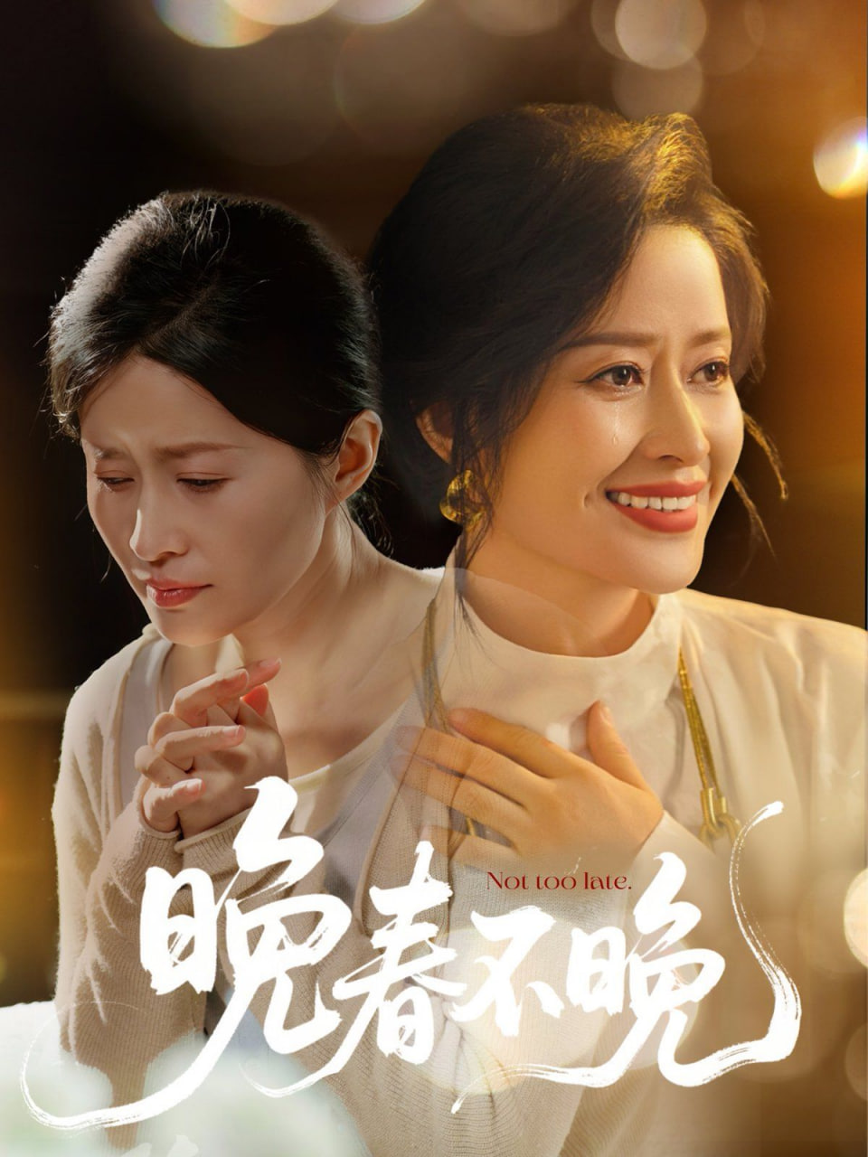 晚春不晚封面