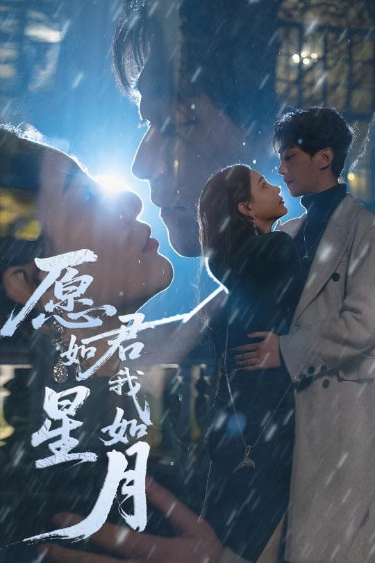 愿君如星我如月封面
