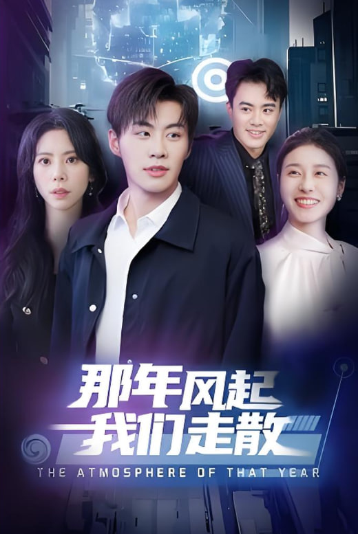那年风起我们走散封面