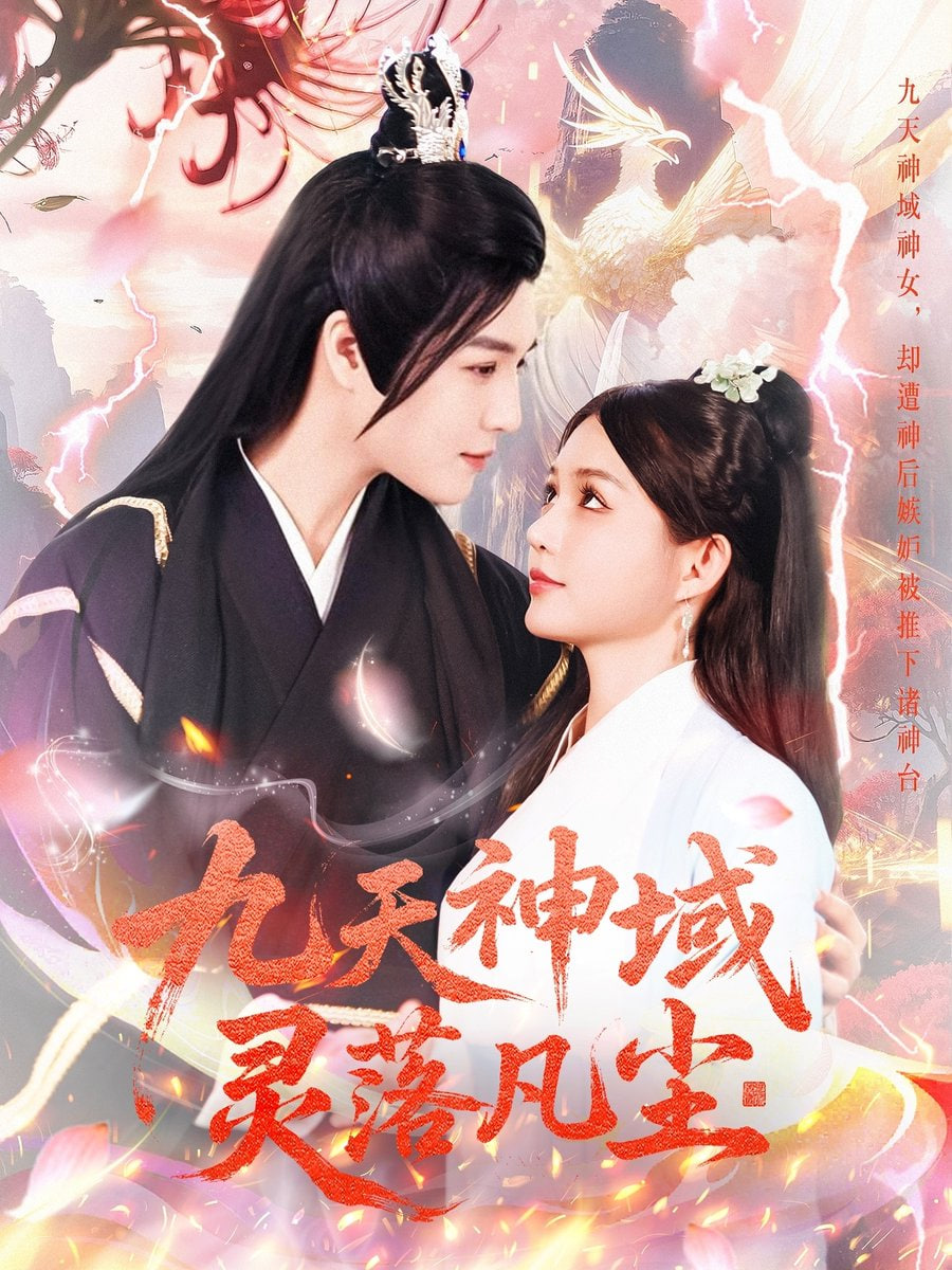 九天神域灵落凡尘封面