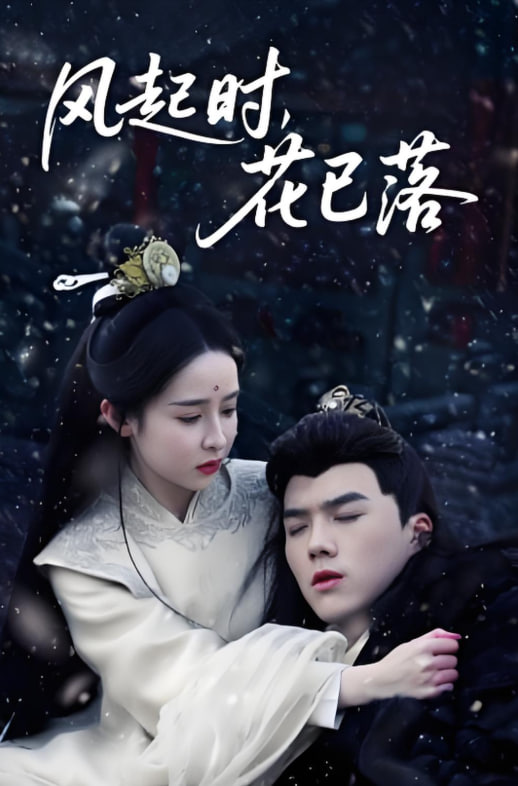 风起时，花已落封面