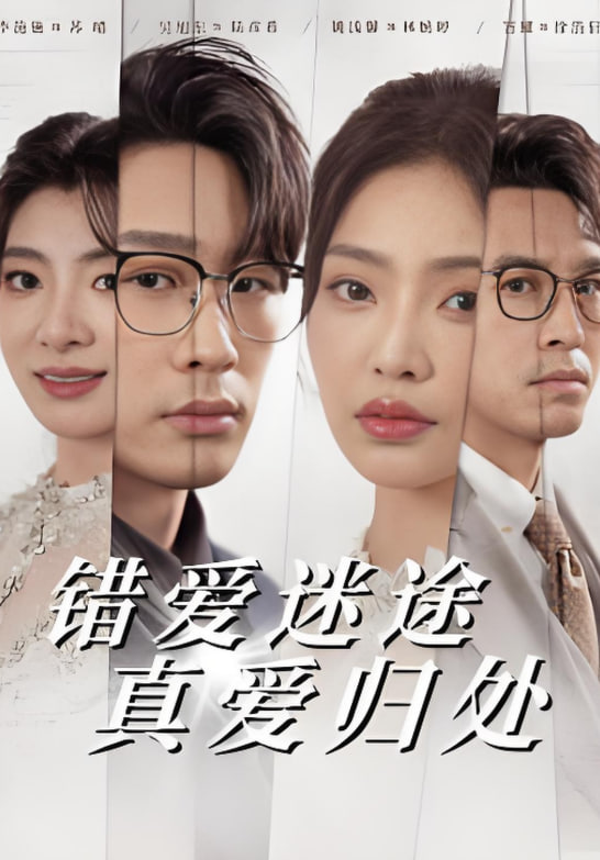 错爱迷途真爱归处封面