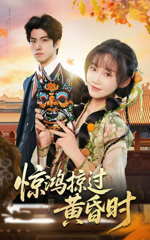 惊鸿掠过黄昏时封面
