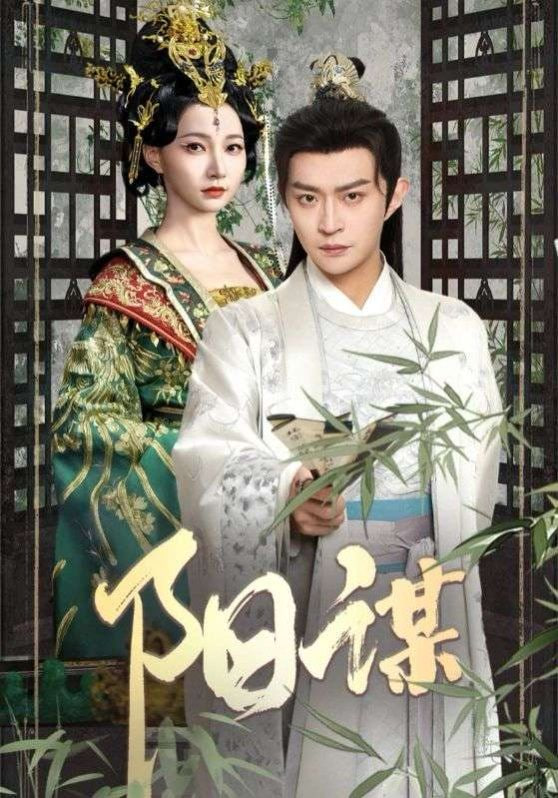 阳谋封面