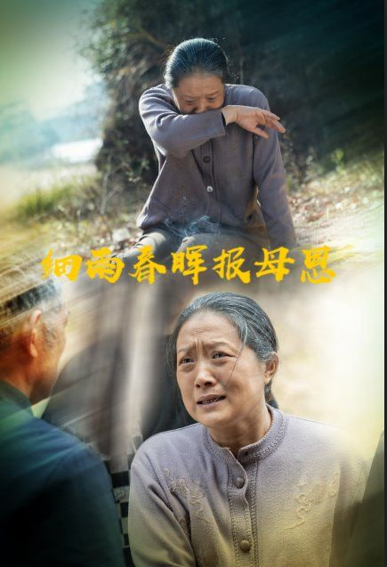 细雨春晖报母恩封面