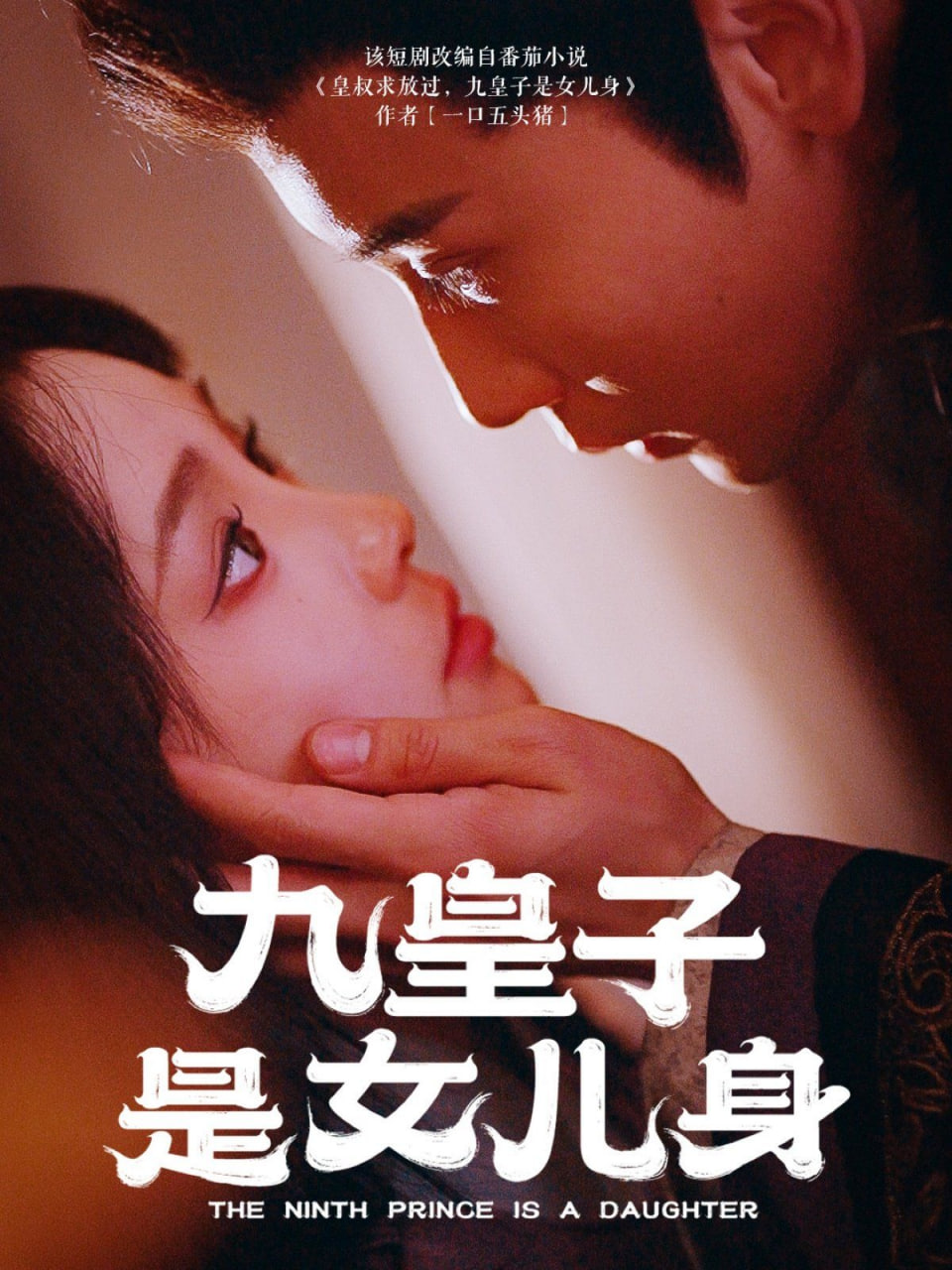 九皇子是女儿身封面