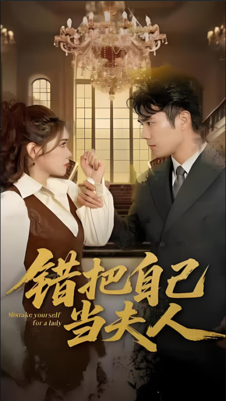 错把自己当夫人封面