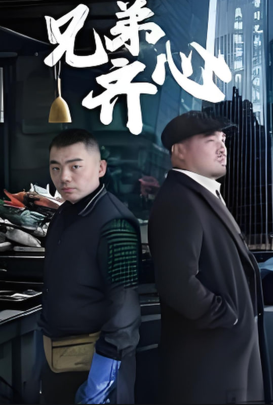 兄弟齐心封面